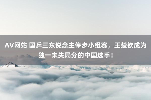 AV网站 国乒三东说念主停步小组赛，王楚钦成为独一未失局分的中国选手！
