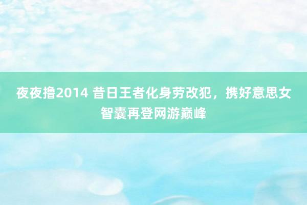 夜夜撸2014 昔日王者化身劳改犯，携好意思女智囊再登网游巅峰
