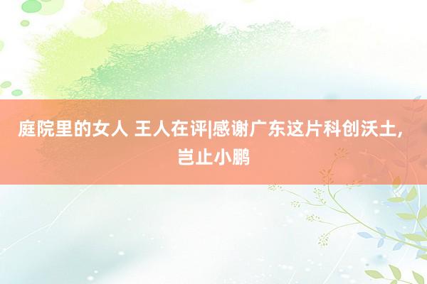 庭院里的女人 王人在评|感谢广东这片科创沃土, 岂止小鹏
