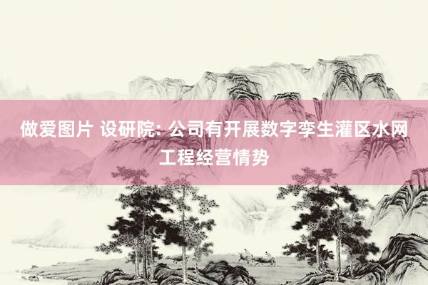 做爱图片 设研院: 公司有开展数字孪生灌区水网工程经营情势