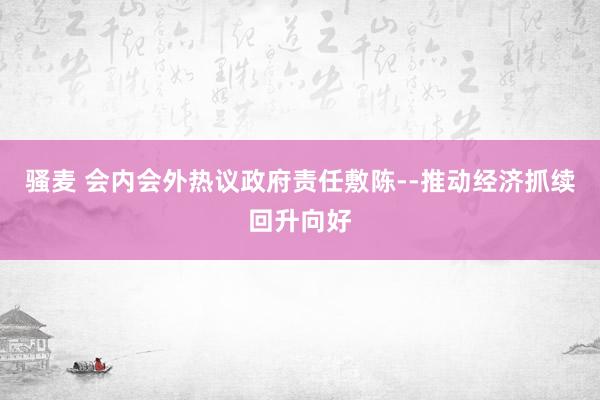 骚麦 会内会外热议政府责任敷陈--推动经济抓续回升向好