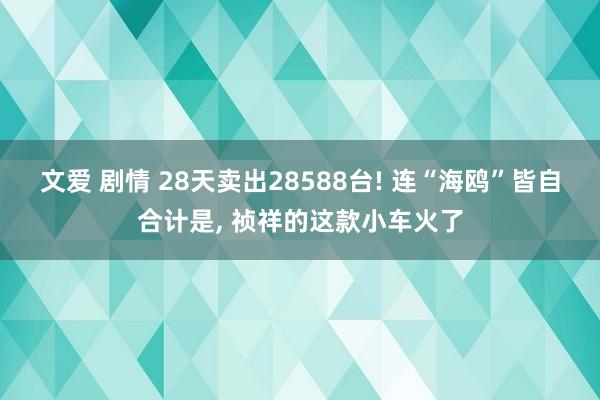 文爱 剧情 28天卖出28588台! 连“海鸥”皆自合计是, 祯祥的这款小车火了