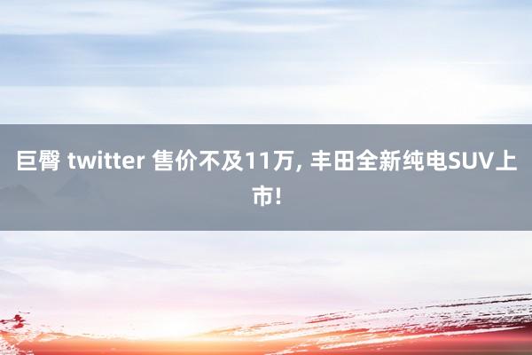巨臀 twitter 售价不及11万, 丰田全新纯电SUV上市!
