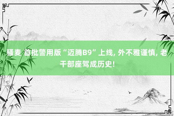 骚麦 首批警用版“迈腾B9”上线, 外不雅谨慎, 老干部座驾成历史!