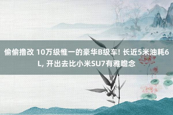 偷偷撸改 10万级惟一的豪华B级车! 长近5米油耗6L, 开出去比小米SU7有雅瞻念
