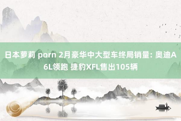 日本萝莉 porn 2月豪华中大型车终局销量: 奥迪A6L领跑 捷豹XFL售出105辆