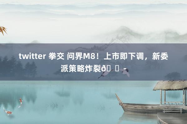 twitter 拳交 问界M8!上市即下调,新委派策略炸裂😭