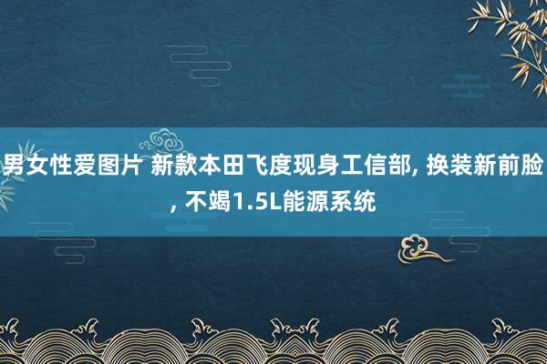 男女性爱图片 新款本田飞度现身工信部, 换装新前脸, 不竭1.5L能源系统