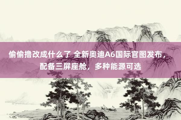 偷偷撸改成什么了 全新奥迪A6国际官图发布， 配备三屏座舱，多种能源可选