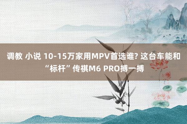 调教 小说 10-15万家用MPV首选谁? 这台车能和“标杆”传祺M6 PRO搏一搏