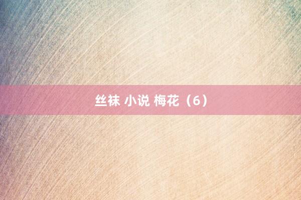 丝袜 小说 梅花（6）