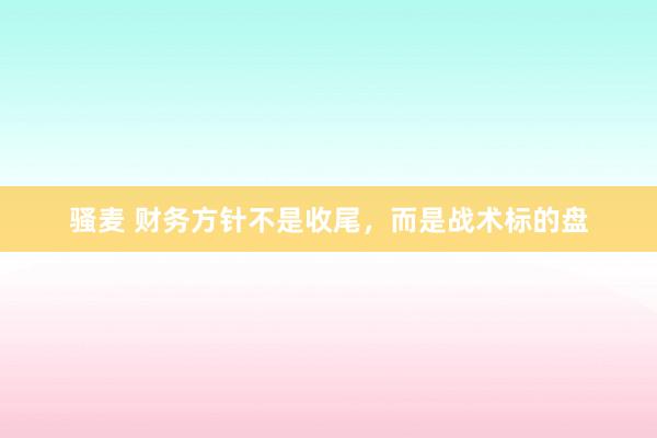 骚麦 财务方针不是收尾，而是战术标的盘