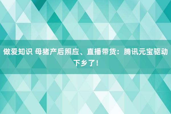 做爱知识 母猪产后照应、直播带货：腾讯元宝驱动下乡了！