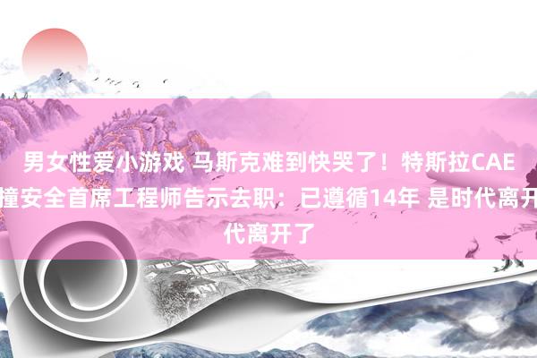 男女性爱小游戏 马斯克难到快哭了！特斯拉CAE碰撞安全首席工程师告示去职：已遵循14年 是时代离开了