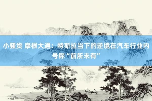 小骚货 摩根大通：特斯拉当下的逆境在汽车行业内号称“前所未有”
